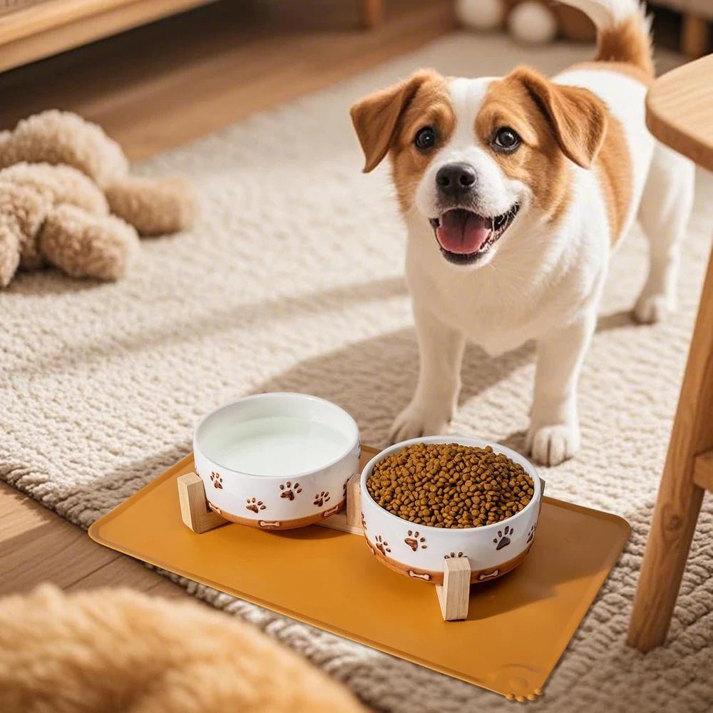 Ceramic Dog Bowl Set with Wooden Stand