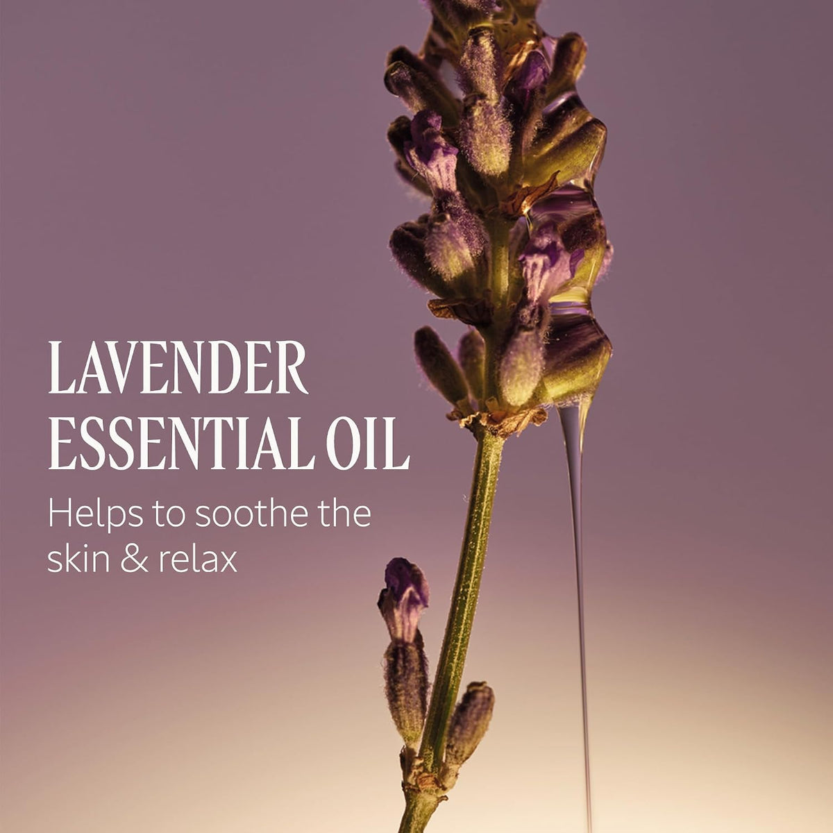 L'OCCITANE Shea Butter Extra-Gentle Hand & Body Liquid Soap, Moisturizing