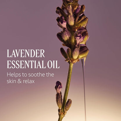 L'OCCITANE Shea Butter Extra-Gentle Hand & Body Liquid Soap, Moisturizing